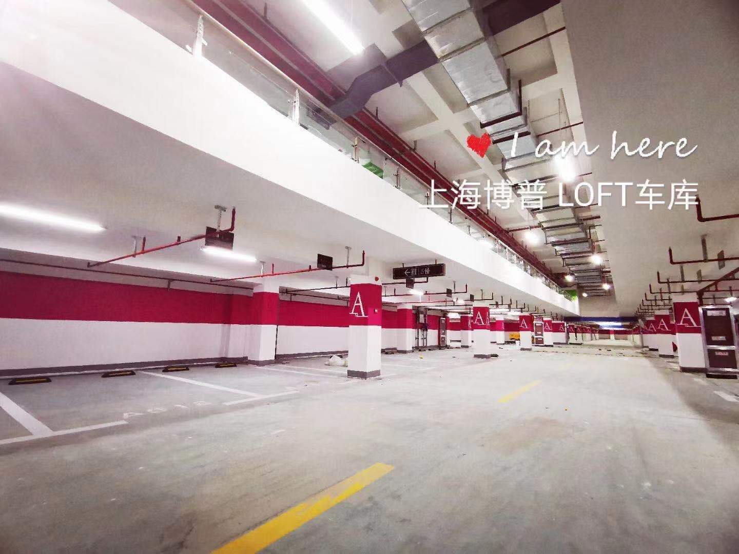葫芦岛已交竣的绿城豪华LOFT专利车库效果惊艳！